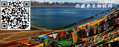 西藏养生